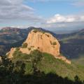 dent de l'ours