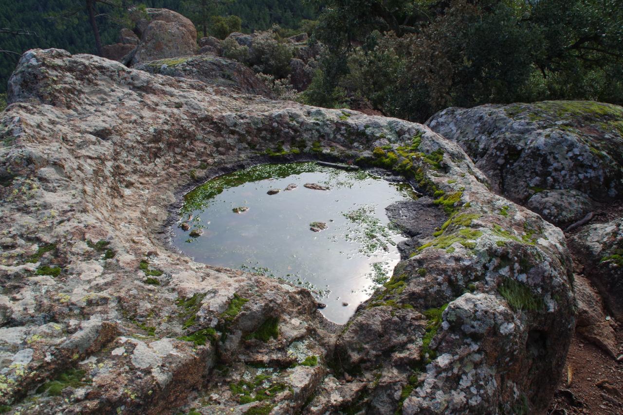 Jacuzzi