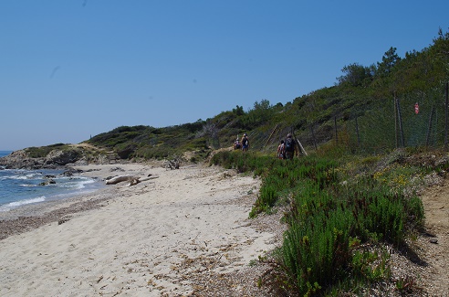 Les Salins